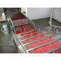 The experienced supplier for commercial air-blowing type tomato washing plant made in China